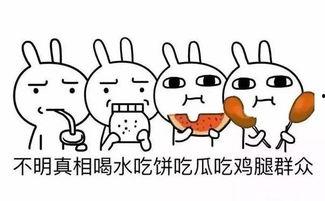 群众吃瓜cp名字,揭秘群众吃瓜CP背后的甜蜜故事