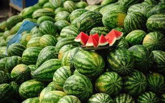 瓜拿那会吃胖吗,吃瓜拿那真的会发胖吗？”