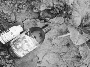 吃瓜 者被农药吃死了视频,吃瓜者不幸中毒身亡，警示食品安全不容忽视