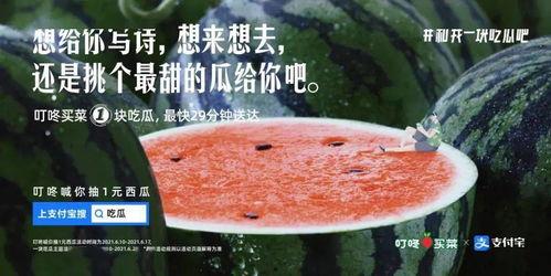 关于网络吃瓜文案