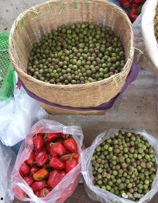 人间烟火吃瓜,吃瓜乐趣无限