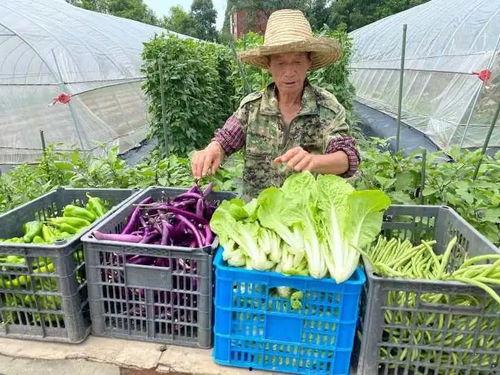 吃瓜网加州博士,揭秘吃瓜网背后的科技与智慧