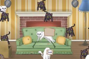 小猫游戏吃瓜,瓜田里的欢乐冒险之旅