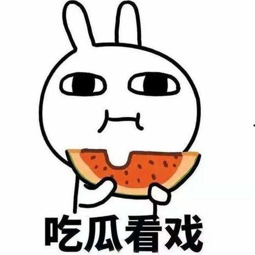 如何吃瓜看戏,洞察娱乐圈风云变幻