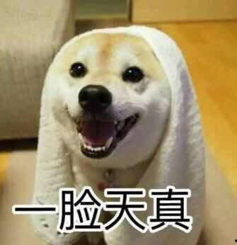 吃瓜鹅视频解说,揭秘娱乐圈幕后故事