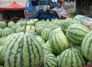 云幕宾馆吃瓜,揭秘吃瓜群众的欢乐盛宴