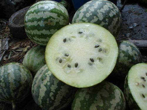 吃绿宝瓜可以吃皮吗,营养美味两不误