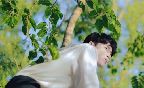 张艺兴日常吃瓜,娱乐圈幕后趣闻大揭秘