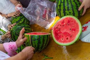 有名的吃瓜视频