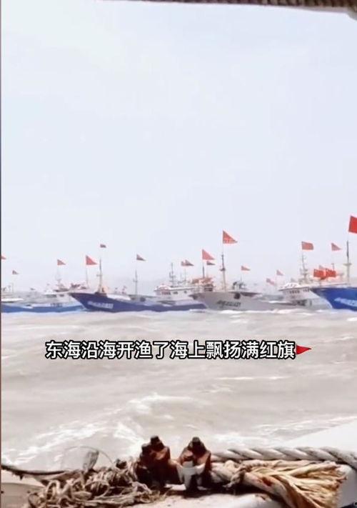 我国渔船吃瓜,夏日渔民的悠闲时光