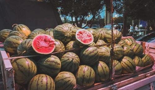 吃瓜定神打一数,揭秘数字背后的神秘力量