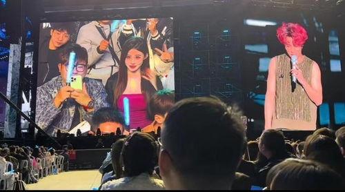 吃瓜看演唱会