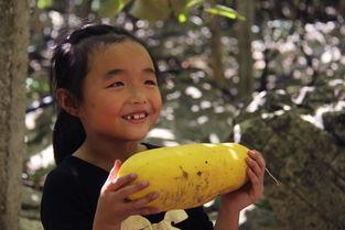 山妹吃瓜,揭秘娱乐圈那些不为人知的幕后故事