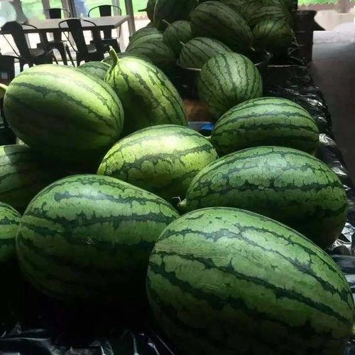 金融18线吃瓜,揭秘幕后吃瓜者的金融圈秘闻