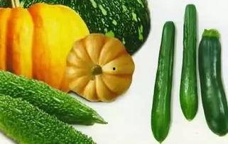 吃瓜小气鬼,揭秘网络热词背后的故事