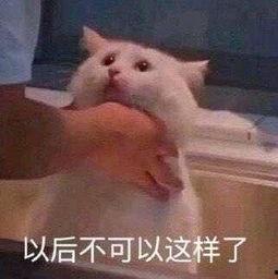 无知朝阳吃瓜群众,揭秘网络舆论场中的众生相