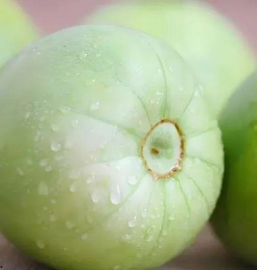 线瓜可以吃吗,揭秘其食用价值与烹饪技巧