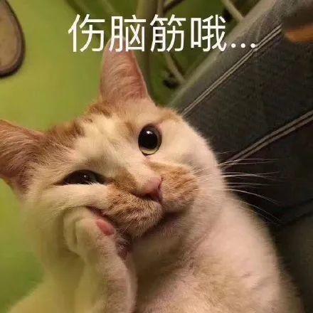 吃瓜猫咪表情,揭秘萌宠界的“吃瓜群众”