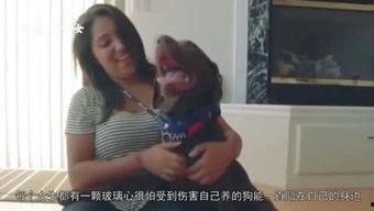 吃瓜老少女直播,揭秘娱乐圈幕后故事