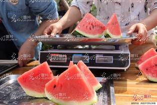 聊城律师吃瓜,一场法律界的“瓜田李下”