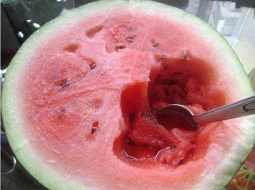 勺子吃老汉瓜,一场意外的美食奇遇