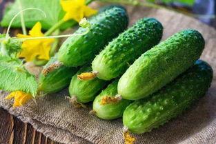 在恋爱综吃瓜,甜蜜瓜田里的甜蜜与苦涩