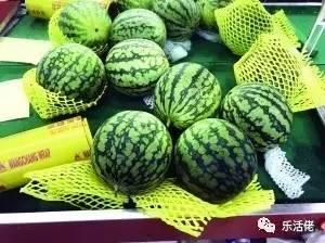 围观吃瓜开场语,揭秘娱乐圈幕后真相