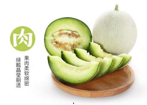 网纹瓜怎样吃,解锁美味新体验