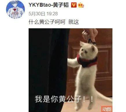 或许你有瓜吃吗,或许你有瓜吃，揭秘娱乐圈幕后真相