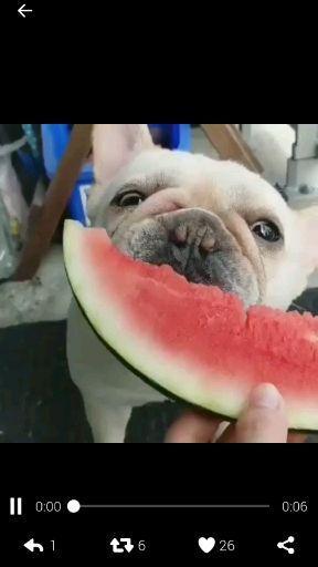 吃瓜聊天嫂子,揭秘娱乐圈背后的八卦风云