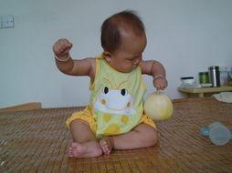 香瓜猫吃瓜视频,趣味横生的瓜界探险记