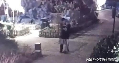 宁晋吃瓜事件视频,一场网络舆论的风暴与反思