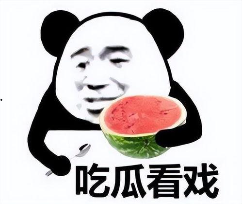 吃瓜积极分子表情包,揭秘网络时代的“瓜田乐”