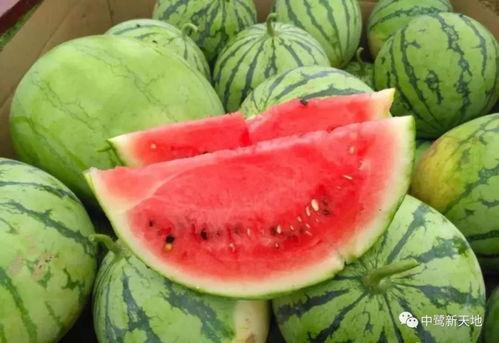 8.24吃瓜日,揭秘娱乐圈幕后故事，带你领略明星们的真实生活