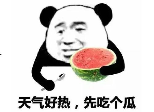 潜水吃瓜表情包