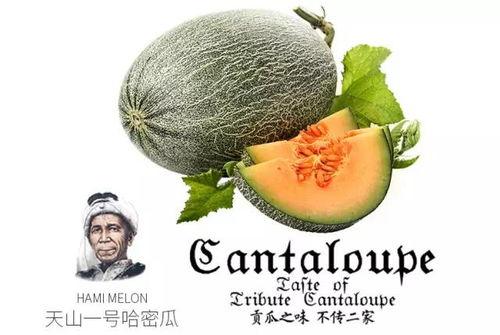 吃瓜十号,娱乐圈幕后风云大揭秘